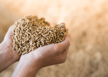 Food & Animal Feed