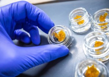 PR, UPR & Alkyd Resin Manufacturing